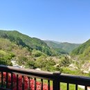 하늘녘싱싱팜 이미지