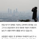 미세먼지 & 초미세먼지 최악 ㅜㅜ 이미지