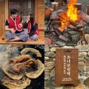 통나무 민박 | [경남] 밀양 촌캉스 숙소 추천 &#39; 소나무민박 &#39; 상세후기 + 솥뚜껑삼겹살 가능