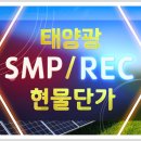 제주태양에너지발전주식회사 이미지