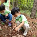 온산에덴유치원 이미지