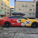 블링옵티컬 이미지