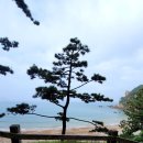 고대도6 이미지