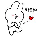 지니펫 애견미용실 이미지