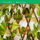 탑브릭스 이미지