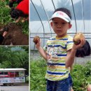 외갓집체험마을 이미지