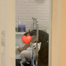 헤이뚜뚜 이미지