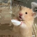 경기도 수원시 영통구 영일로 이미지