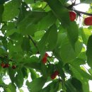 하늘내린강산 이미지