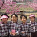 선두농장 이미지