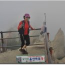 샤브작샤브작 이미지