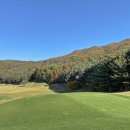 삼성골프 이미지