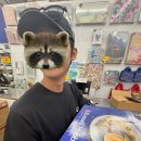 웜베이크(warm bake) | 💥 $90! Russell Hobbs Satisfry Air &amp; Grill 5.5L 러셀 홉스 멀티쿠커 💥