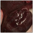 지오동물병원 이미지