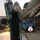 용머리축사 네이버블로그