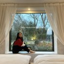 고요고목 돌집감성 풀빌라 스테이 | 제주도 [고요고목] 애월 감성독채 숙소 후기