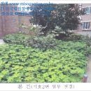 내곡동436 이미지