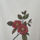 달로간코끼리