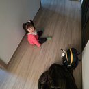 녹두로R | 린다이어트 3일 -3.3kg 감량 ! 뽀로로파크 다냐옴, '또'감기걸린 아기 ㅠ