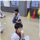 돌려차기 태권도장 이미지