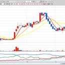 유한회사 대일바이오랩 | 52주 신고가 종목 정리(2025년 12월 1일) 종가기준