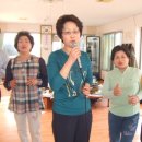 안법초등학교 이미지