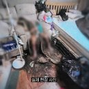 "대변 뒤덮인 아내 보며 즐겼다…파주 부사관 남편, 쾌락형 살인 가능성" 이미지