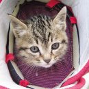 인터넷사랑 이미지