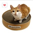 두성인터내셔날(주) 이미지