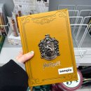 아프리카안경 신세계센텀점 | 센텀 미니소 해리포터 주토피아 디즈니 등등 신세계센텀시티몰점 방문후기