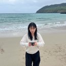 네세서리커피 | 네세서리 봄맞이 쇼핑 with 제주