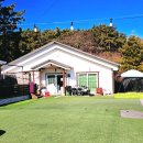 플레이하운드 | 영종도 애견동반 독채펜션 플레이하운드 내돈내산 후기｜중대형견 운동장·불멍·캠핑까지