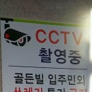 성일스티카