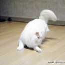 야로경로당 이미지