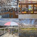 황구지천 | 수원 도나스데이 본점 황구지천 벚꽃뷰 카페 주차 루프탑 산책 후기