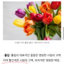 안경기업 양주점 | 분위기 좋은 한강뷰 레스토랑 ON, 특별한날 기념하기 좋은 오엔