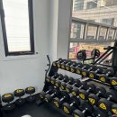 아르보스튜디오