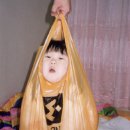 1433 이미지