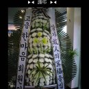 신내동-004 Daum카페