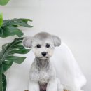 멍데이즈 이미지