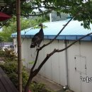 (주)여행사랑 이미지