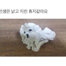 세라젬 제천중앙로점