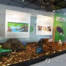 이화여자대학교 자연사박물관 이미지