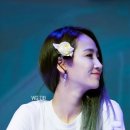 으니# Daum카페