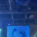 250330 l [더 글로우 2025 (THE GLOW)] 후기