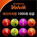 ㈜토마토투어 이미지