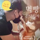 경주 신구돌솥밥 정식_ 신달사주 인근 맛집