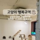 고양이 행복구역 이미지