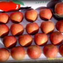 병규농장 이미지