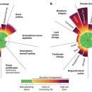 NATURE(네이처)PC 이미지